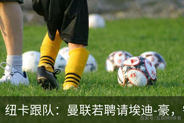 纽卡跟队：曼联若聘请埃迪-豪，需向纽卡支付一笔不小的补偿金