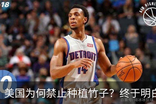 美国为何禁止种植竹子？终于明白，原来竹子比我们想象的更可怕
