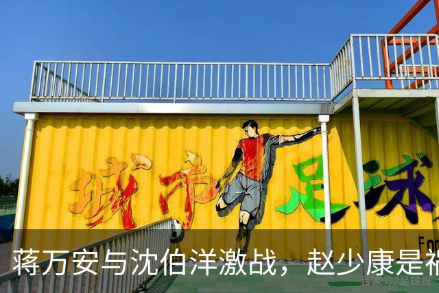 蒋万安与沈伯洋激战，赵少康是祸首，却嫁祸郑丽文？邱毅说公道话