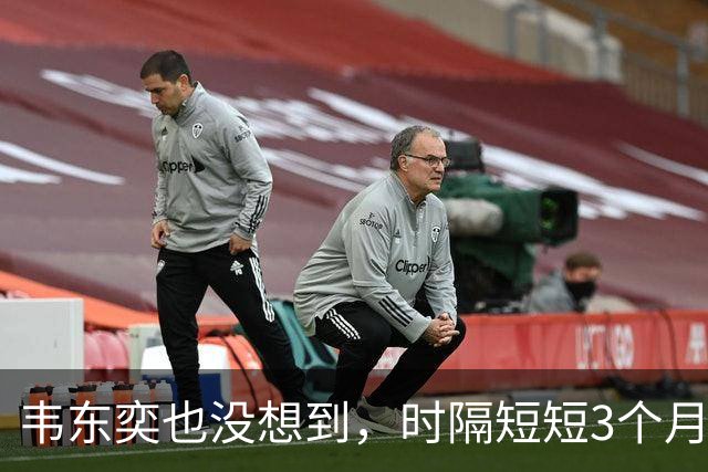 韦东奕也没想到，时隔短短3个月，王虹竟再向学术界亮出“王牌”