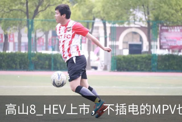 高山8 HEV上市，不插电的MPV也配激光雷达